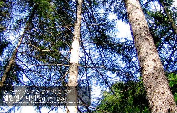 �����̹���