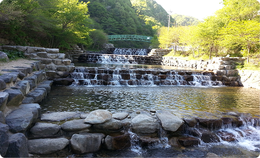 자연형 사방 시설 전경