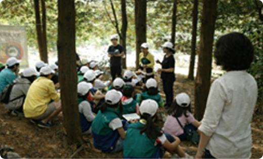 숲속 정자 쉼터